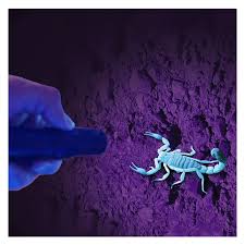 LED Scorpion Torch (Black Light)