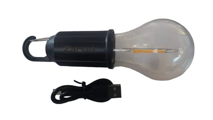 Rechargeable LED Globe