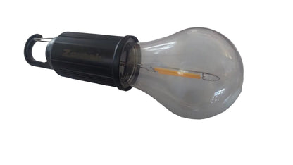 Rechargeable LED Globe
